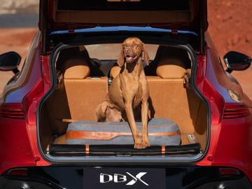 Dbx accessories launch imagery type 3 11