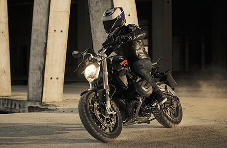 BMW Motorrad R 1250 R Image 2