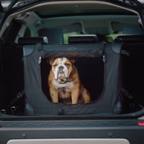 LAND ROVER DOG ACCESSORIES Image 1