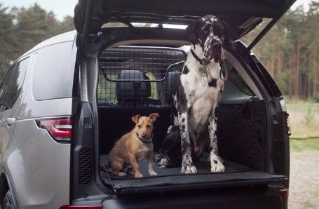 LAND ROVER DOG ACCESSORIES Image 2