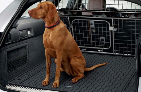 JAGUAR MAT AND DOG GUARD